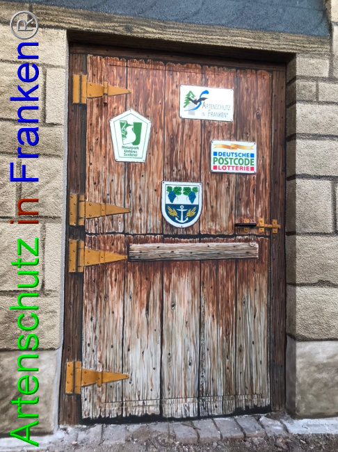 © Artenschutz in Franken® Bild zum Eintrag (1067168-160)