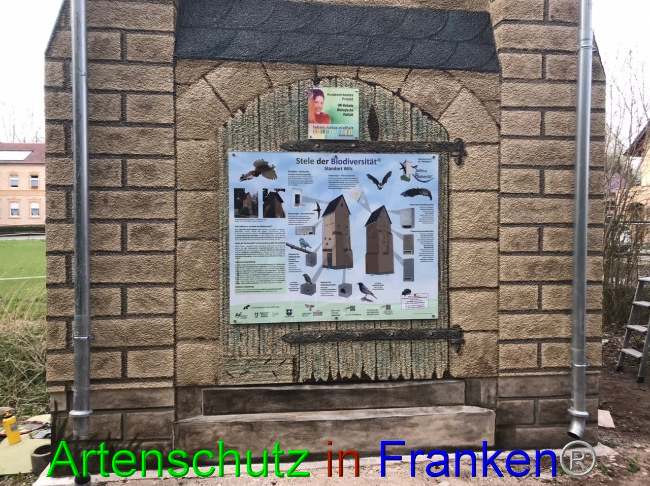 © Artenschutz in Franken® Bild zum Eintrag (1067172-160)