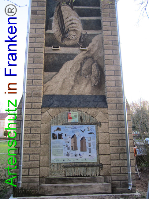 © Artenschutz in Franken® Bild zum Eintrag (1067246-160)