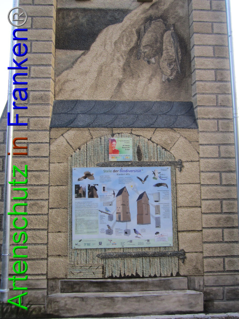 © Artenschutz in Franken® Bild zum Eintrag (1067247-160)