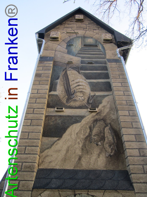© Artenschutz in Franken® Bild zum Eintrag (1067249-160)