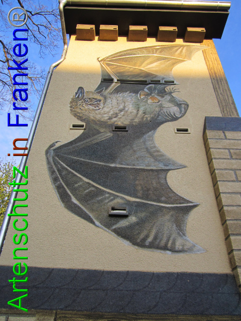© Artenschutz in Franken® Bild zum Eintrag (1067260-160)