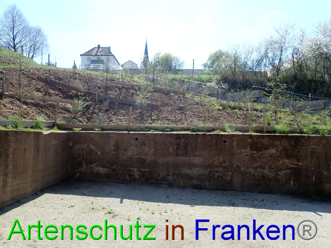 © Artenschutz in Franken® Bild zum Eintrag (1067282-160)