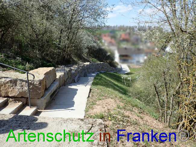 © Artenschutz in Franken® Bild zum Eintrag (1067291-160)