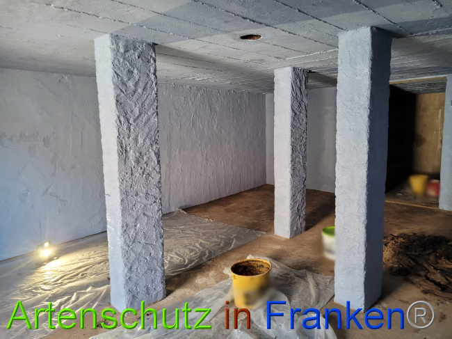 © Artenschutz in Franken® Bild zum Eintrag (1067355-160)