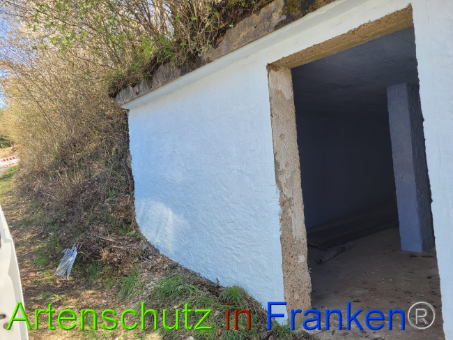 © Artenschutz in Franken® Bild zum Eintrag (1067357-160)
