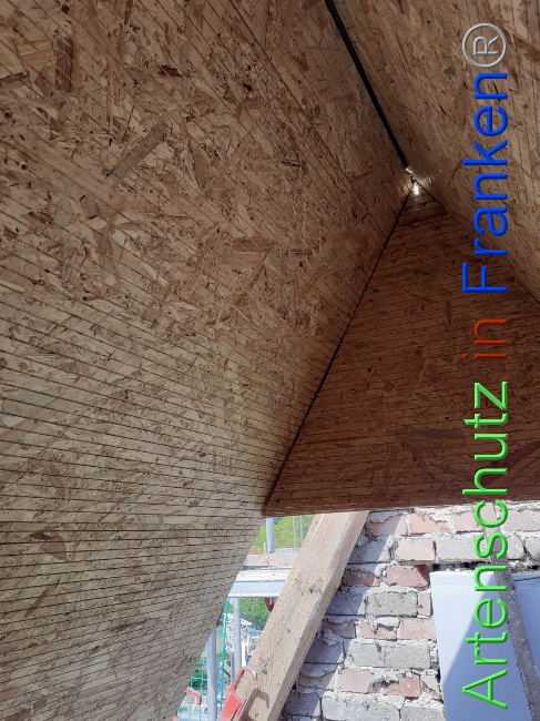 © Artenschutz in Franken® Bild zum Eintrag (1067394-160)