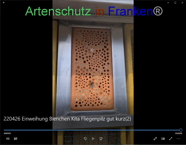 © Artenschutz in Franken® / Sonfeld Bild zum Eintrag (1067448-160)