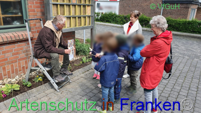 © Artenschutz in Franken® / Sonfeld Bild zum Eintrag (1067457-160)