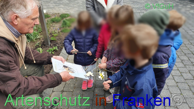 © Artenschutz in Franken® / Sonfeld Bild zum Eintrag (1067458-160)