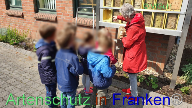 © Artenschutz in Franken® / Sonfeld Bild zum Eintrag (1067459-160)
