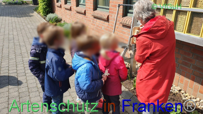 © Artenschutz in Franken® / Sonfeld Bild zum Eintrag (1067460-160)