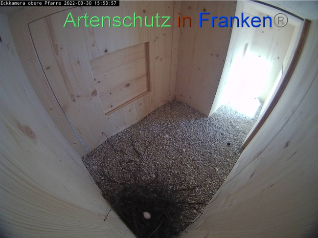 © Artenschutz in Franken® Bild zum Eintrag (1067518-160)