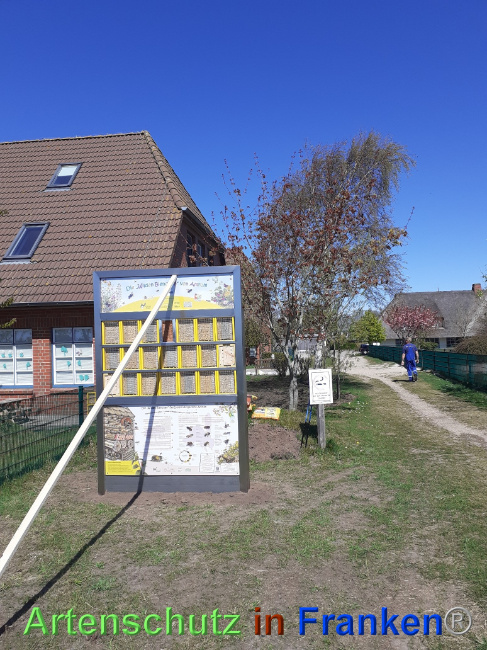 © Artenschutz in Franken® Bild zum Eintrag (1067659-160)