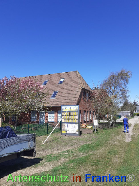 © Artenschutz in Franken® Bild zum Eintrag (1067660-160)