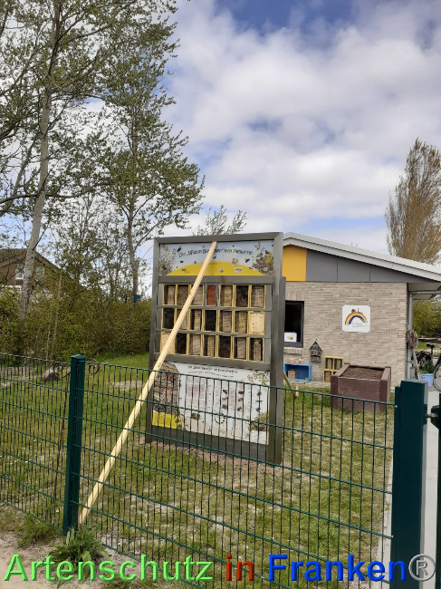 © Artenschutz in Franken® Bild zum Eintrag (1067702-160)