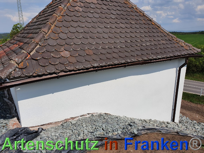 © Artenschutz in Franken® Bild zum Eintrag (1067711-160)