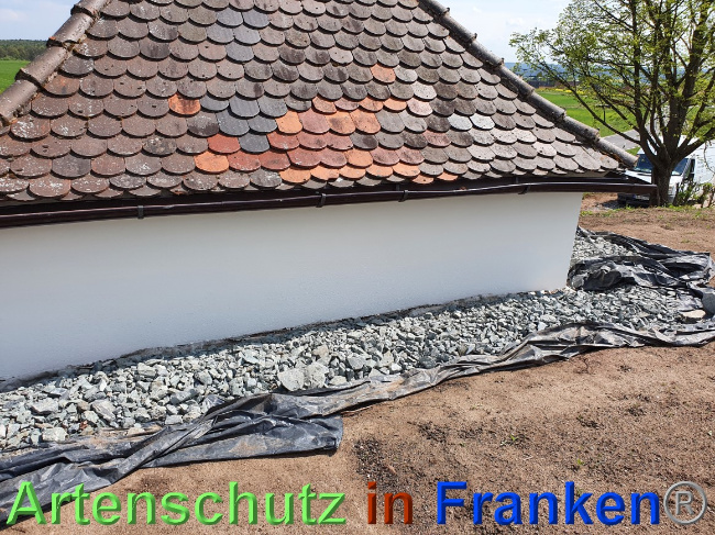 © Artenschutz in Franken® Bild zum Eintrag (1067712-160)