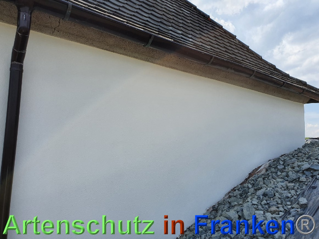 © Artenschutz in Franken® Bild zum Eintrag (1067713-160)