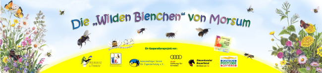 © Artenschutz in Franken® Bild zum Eintrag (1067759-160)