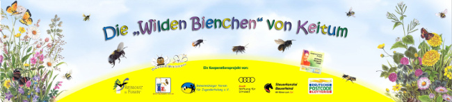 © Artenschutz in Franken® Bild zum Eintrag (1067829-160)