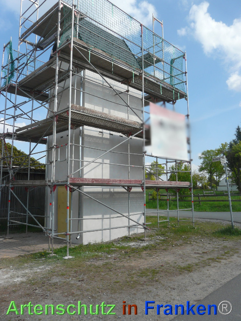 © Artenschutz in Franken® Bild zum Eintrag (1067836-160)