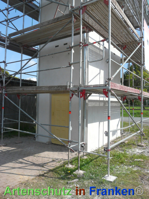 © Artenschutz in Franken® Bild zum Eintrag (1067837-160)
