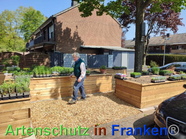 © Artenschutz in Franken® / Sonfeld Bild zum Eintrag (1068048-160)