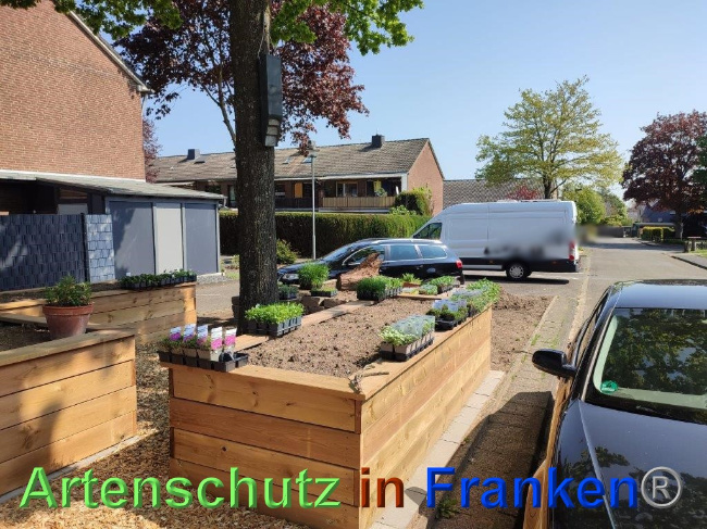 © Artenschutz in Franken® / Sonfeld Bild zum Eintrag (1068049-160)