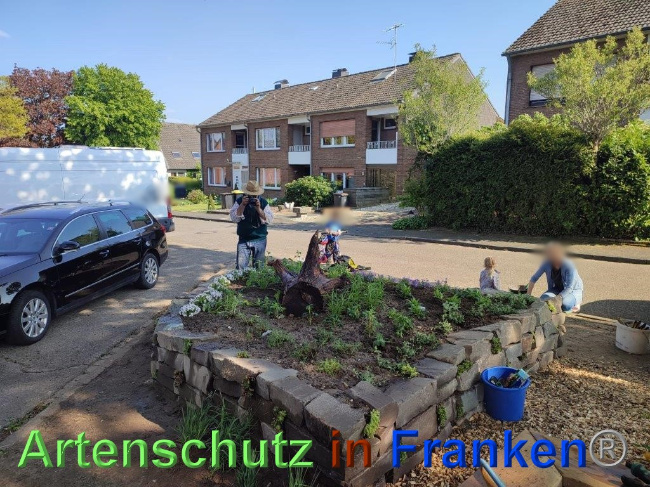 © Artenschutz in Franken® / Sonfeld Bild zum Eintrag (1068052-160)