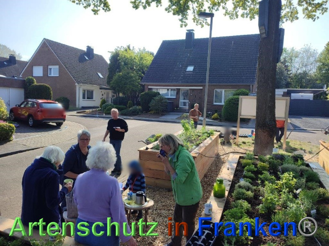 © Artenschutz in Franken® / Sonfeld Bild zum Eintrag (1068053-160)