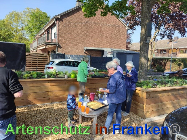© Artenschutz in Franken® / Sonfeld Bild zum Eintrag (1068054-160)