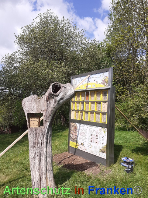 © Artenschutz in Franken® Bild zum Eintrag (1068088-160)