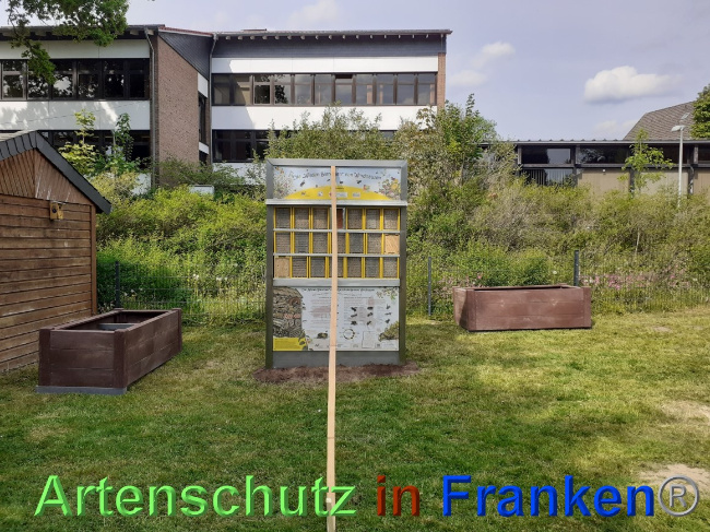 © Artenschutz in Franken® Bild zum Eintrag (1068099-160)