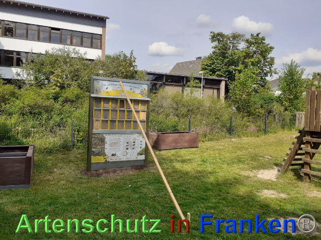 © Artenschutz in Franken® Bild zum Eintrag (1068100-160)