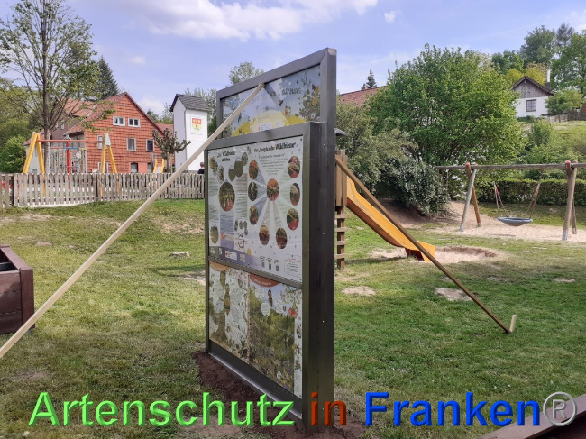 © Artenschutz in Franken® Bild zum Eintrag (1068102-160)