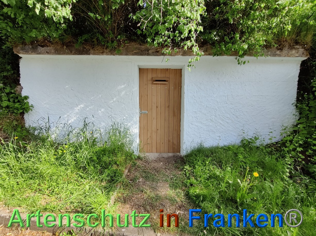© Artenschutz in Franken® Bild zum Eintrag (1068437-160)