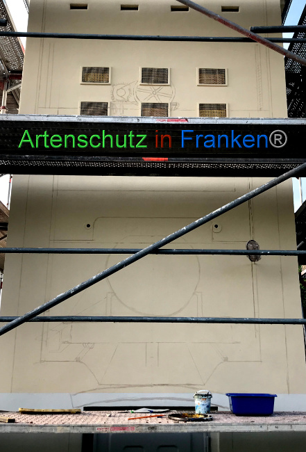 © Artenschutz in Franken® Bild zum Eintrag (1068766-160)