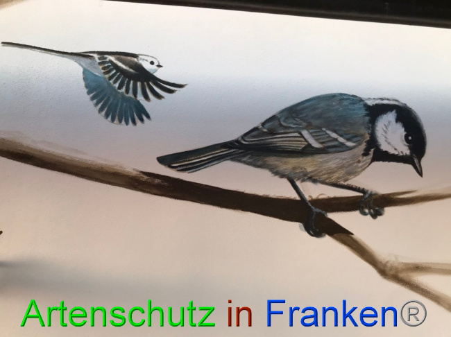 © Artenschutz in Franken® Bild zum Eintrag (1069322-160)