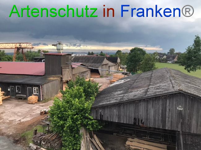 © Artenschutz in Franken® Bild zum Eintrag (1069398-160)