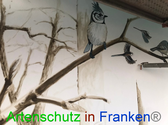 © Artenschutz in Franken® Bild zum Eintrag (1069401-160)