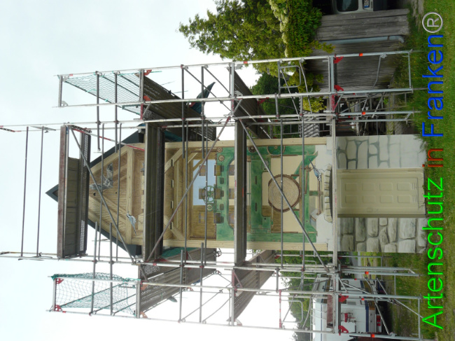 © Artenschutz in Franken® / Oberschmidt Bild zum Eintrag (1069524-160)