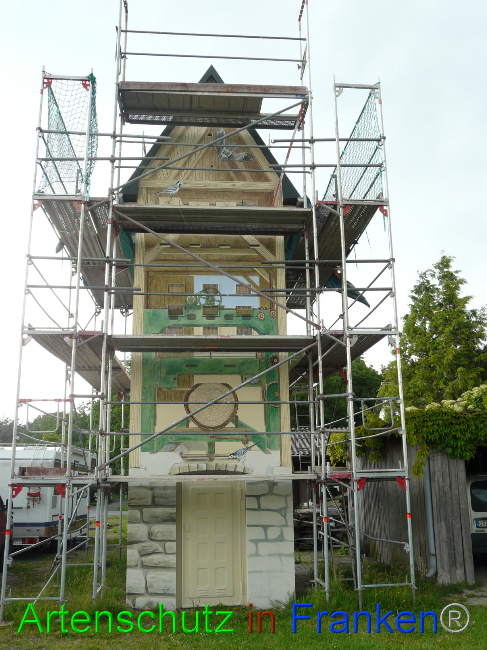 © Artenschutz in Franken® / Oberschmidt Bild zum Eintrag (1069526-160)
