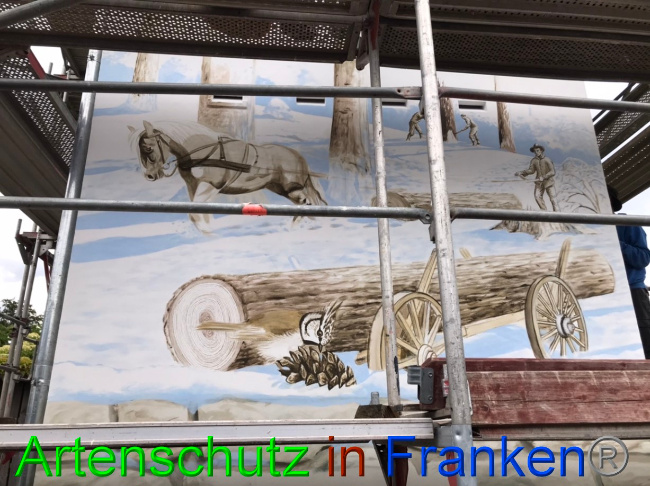 © Artenschutz in Franken® Bild zum Eintrag (1069608-160)
