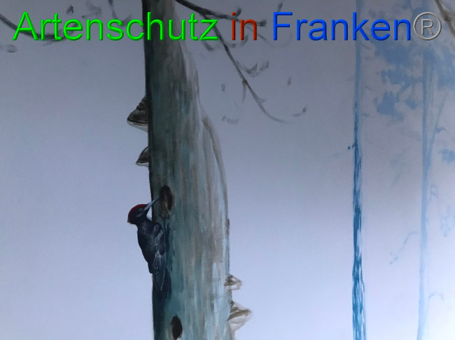 © Artenschutz in Franken® Bild zum Eintrag (1069609-160)