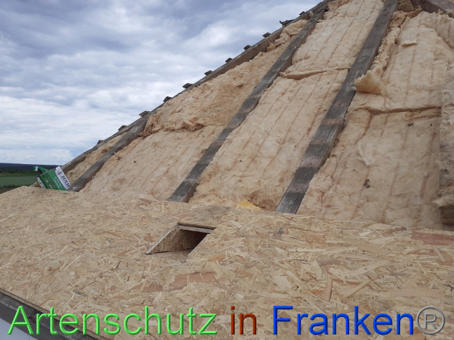 © Artenschutz in Franken® Bild zum Eintrag (1069643-160)