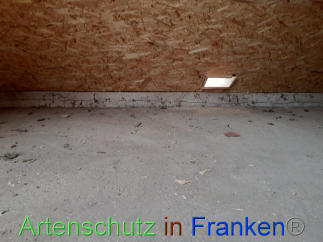 © Artenschutz in Franken® Bild zum Eintrag (1069647-160)
