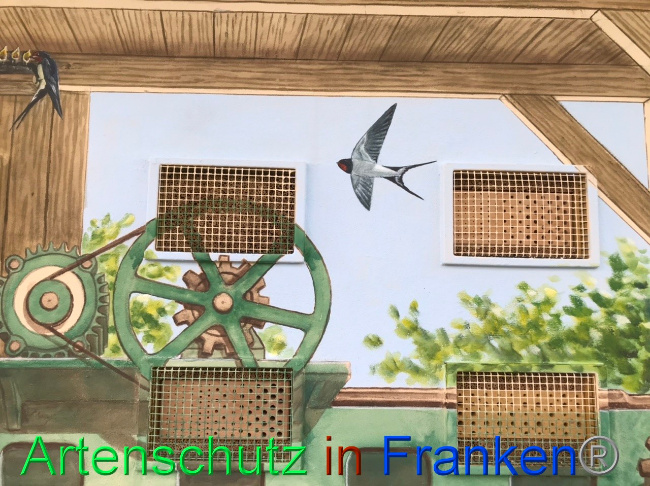 © Artenschutz in Franken® Bild zum Eintrag (1069706-160)