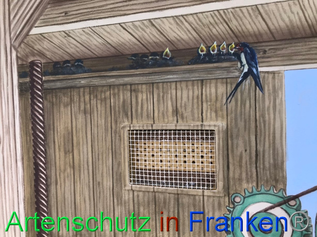 © Artenschutz in Franken® Bild zum Eintrag (1069707-160)