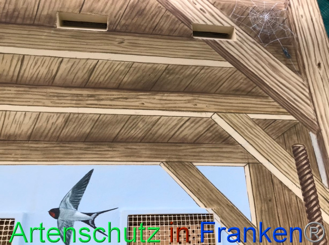 © Artenschutz in Franken® Bild zum Eintrag (1069708-160)